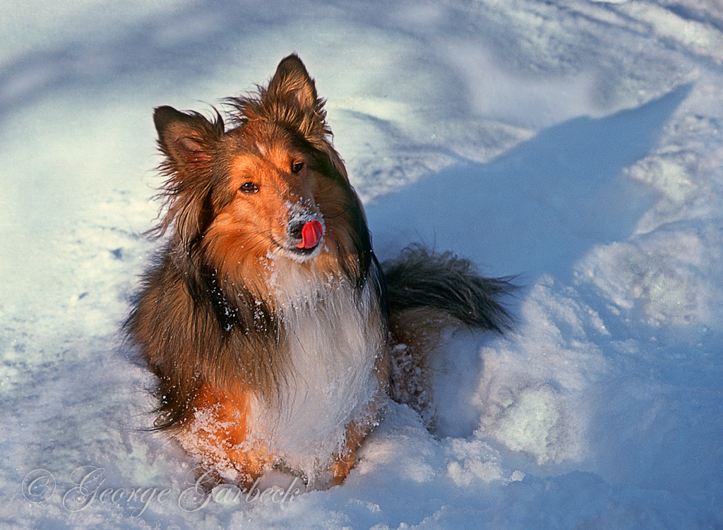 Taste of Winter 1